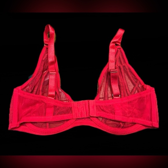 NWT Frederick's Of Hollywood Rozlyn Sheer Red Mesh and Stud Underwire Bra, 34DD - Picture 6 of 12